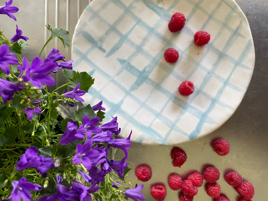 TARTAN dish