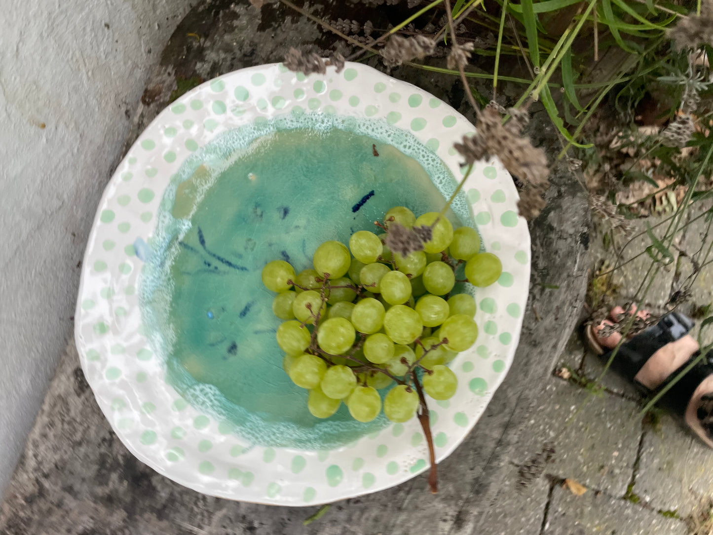 Sea Dish 30 cm